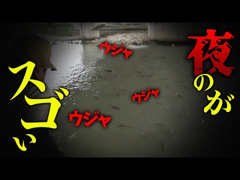 【もはや裏技？】夜がもっとヤバイ…噂検証で新たな発見が…