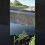 岐阜県 五三川 バス釣り 遊漁券の購入 １日券は300円 巡回している管轄の監視員から購入する方法