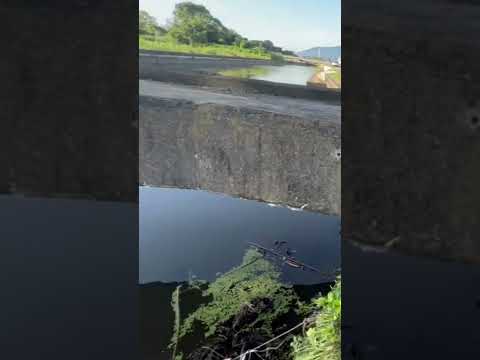 岐阜県 五三川 バス釣り 遊漁券の購入 １日券は300円 巡回している管轄の監視員から購入する方法