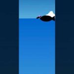 釣りスタ　百鬼夜行　裏ドクロ岬　レア魚　ノトイスズミ