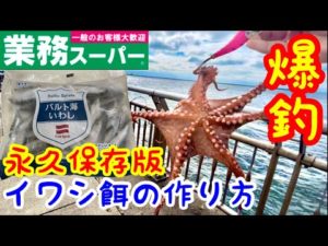 業務スーパーイワシ!タコ釣りしたら入れ食い!加工イワシの作り方!永久保存版