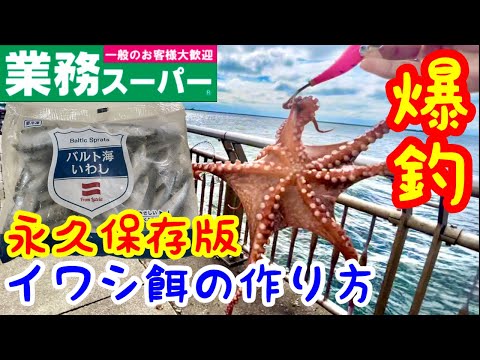 業務スーパーイワシ！タコ釣りしたら入れ食い！加工イワシの作り方！永久保存版