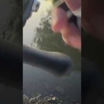 【五三川 バス釣り】ダイワ スティーズシャッドMRにてバス釣りをしてたら鮎みたいなのが釣れてしまった。ショートバージョン