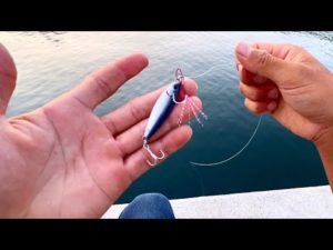 これで魚が釣れる気がしません。