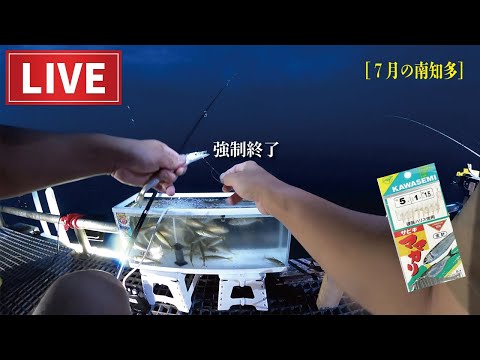 ［豊浜釣り桟橋］今朝の朝マズメはいつも以上に強烈。※愛知県で一番釣れる堤防。