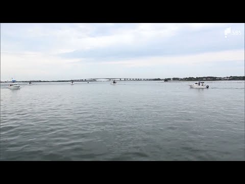 カジキ釣りの国際大会　浜名湖キューバヘミングウェイカップ開幕（静岡県）