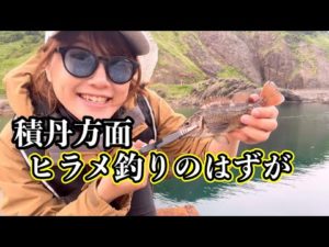積丹方面へヒラメ釣りのはずが、意外な魚が面白かった