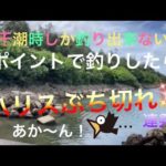 【沖縄県中部】干潮時でしか釣り出来ない場所で釣りしたら！
