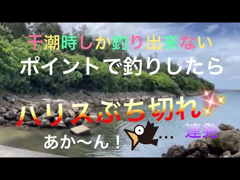 【沖縄県中部】干潮時でしか釣り出来ない場所で釣りしたら！