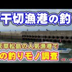 【上天草干切漁港の釣り】松島町の人気の漁港で夏の五目釣りをしてみた！