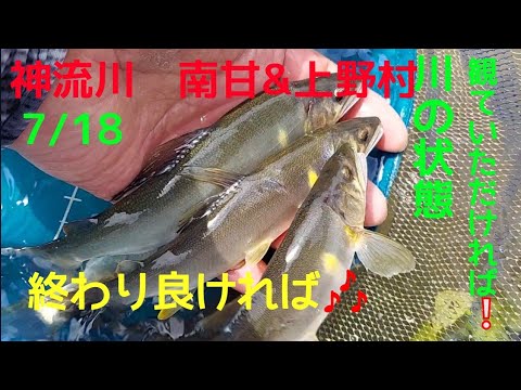 鮎釣り　神流川　南甘&上野村　終わり良ければ🎶✨(σ´Д｀)σ