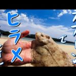 スプーンダービー DAY 12 後編 沖縄釣り × 沖縄ルアー釣り  ＃257