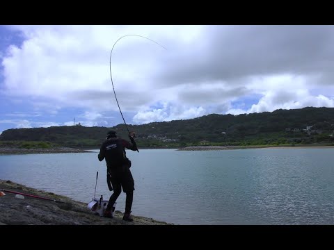 フカセ釣りは油断していると引ったくられます。