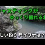 なんとなく調子が出ない・渓流釣りはやる気がでるね / フライフィッシング  北海道 / Fly Fishing