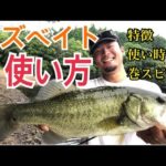 【バス釣り】苦手な人必見‼️バズベイトの使い方