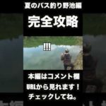 夏の野池バス釣り完全攻略ショート動画 #shorts