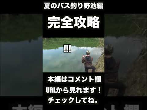 夏の野池バス釣り完全攻略ショート動画 #shorts