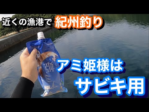 【紀州釣り】　アミ姫様はサビキ用　近くの漁港でダンゴ釣り