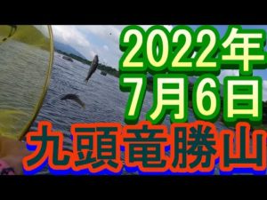 鮎釣り１０cm高垢ぐされ 勝山地区 森川 赤岩  九頭竜川  2022年