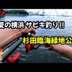 【横浜 釣り】夏のトリックサビキ!杉田臨海緑地公園でアジ釣り。釣り初心者にもチャンスの季節到来!今回は果たして⁉サビキ釣り実釣動画です!