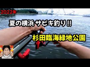 【横浜 釣り】夏のトリックサビキ!杉田臨海緑地公園でアジ釣り。釣り初心者にもチャンスの季節到来!今回は果たして⁉サビキ釣り実釣動画です!
