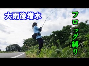 【バス釣り】釣りガール？がフロッグ縛りで・・・！