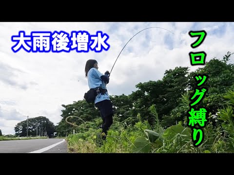 【バス釣り】釣りガール？がフロッグ縛りで・・・！