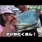【神戸空港】今朝の状況です。早朝サビキ釣り！fishingmax神戸ハーバー店2022/07/23