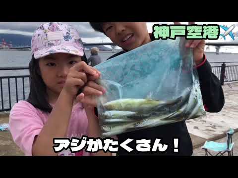 【神戸空港】今朝の状況です。早朝サビキ釣り！fishingmax神戸ハーバー店2022/07/23