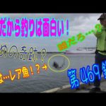 釣り動画ロマンを求めて 469釣目