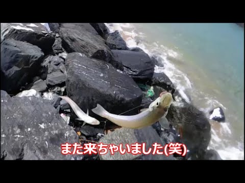 【7月中旬】☆やっぱりキス釣り♪