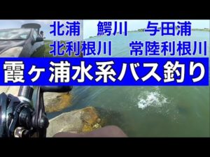 【霞ヶ浦水系】バス釣りポイントガイド北浦　鰐川　与田浦　北利根川　常陸利根川2022年7月24日
