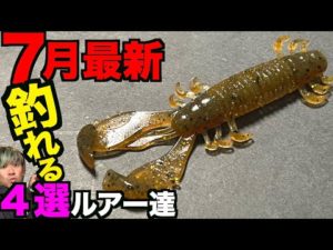 夏休み絶対釣りたい人必見の最新バス釣りルアー４選買ってきた！
