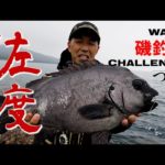 【プロ野球・和田一浩】磯釣りチャレンジ・佐渡島／磯の王者「イシダイ」を追う！