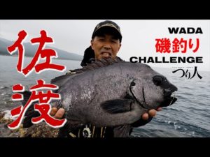 【プロ野球・和田一浩】磯釣りチャレンジ・佐渡島/磯の王者「イシダイ」を追う!