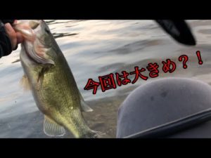 放流情報！！河口湖バス釣り〜7月25日湖月前編【河口湖バス釣り】【放流場所】