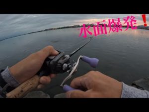 【バス釣り】トップの夏始まり❗️琵琶湖　南湖　瀬田川