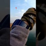 サビキ釣りでアジ爆釣　初夏の那珂湊港　#shorts