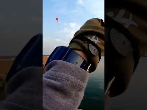 サビキ釣りでアジ爆釣　初夏の那珂湊港　#shorts