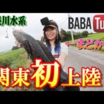 BABATube【釣りグルイ】まどかさんが初関東上陸！？