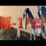 【タコ釣り】豚VS鯖！１番釣れるタコの餌はどっちだ⁉︎【オクトパッシング】