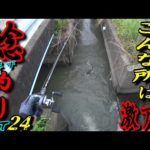 【ナマズ釣り】このような場所は激アツ！