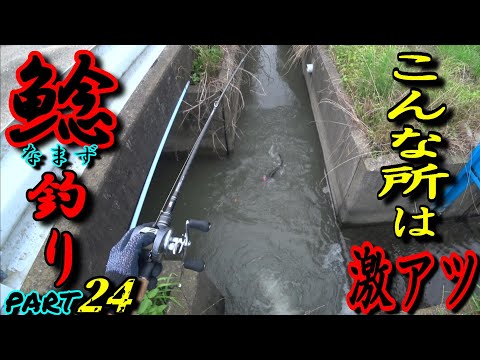 【ナマズ釣り】このような場所は激アツ！