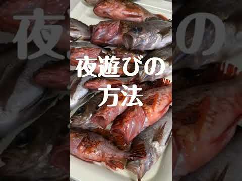 東京湾メバル・カサゴ釣り〈新安浦港・長谷川丸さん〉 #Shorts