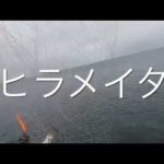 北海道のヒラメ釣り Sammys deepstream40 #北海道釣り #北海道ヒラメ釣り #噴火湾ヒラメ #内浦湾ヒラメ