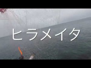 北海道のヒラメ釣り Sammys deepstream40 #北海道釣り #北海道ヒラメ釣り #噴火湾ヒラメ #内浦湾ヒラメ