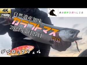 ついに来た！2022年のカラフトマス釣り！！やはり今年もデベロップシェルなのか？