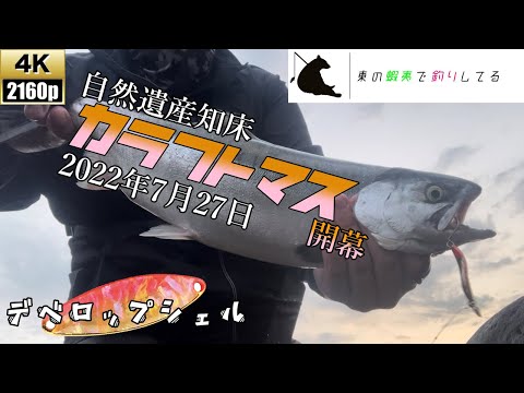 ついに来た！2022年のカラフトマス釣り！！やはり今年もデベロップシェルなのか？