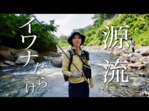【渓流釣り】山の向こうは、イワナだらけだった【わんこと源流釣り①】