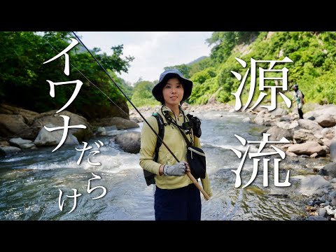 【渓流釣り】山の向こうは、イワナだらけだった【わんこと源流釣り①】